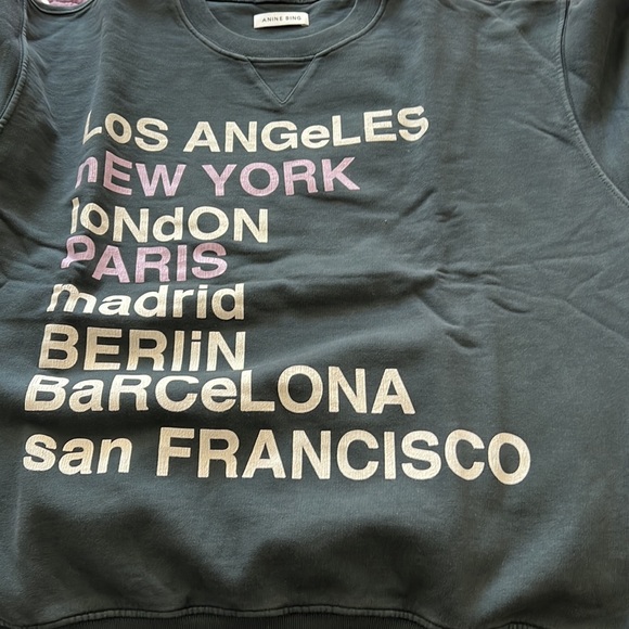 Anine Bing City Love Sweatshirt - Picture 10 of 11